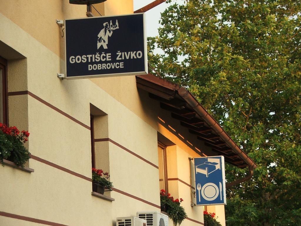 Guesthouse Zivko Dobrovce Exterior foto